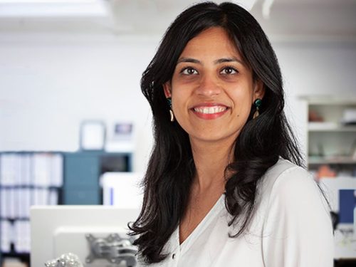 Ignition Law Shares Key Legal Insight in HSBC Innovation Banking’s 2025 Venture Capital Term Sheet Guide